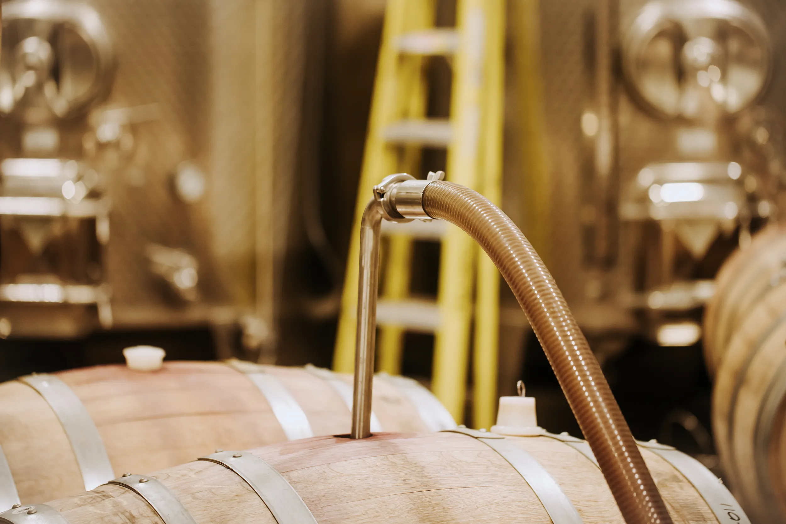 Wine being pulled from a barrel at Gold Hill Winery