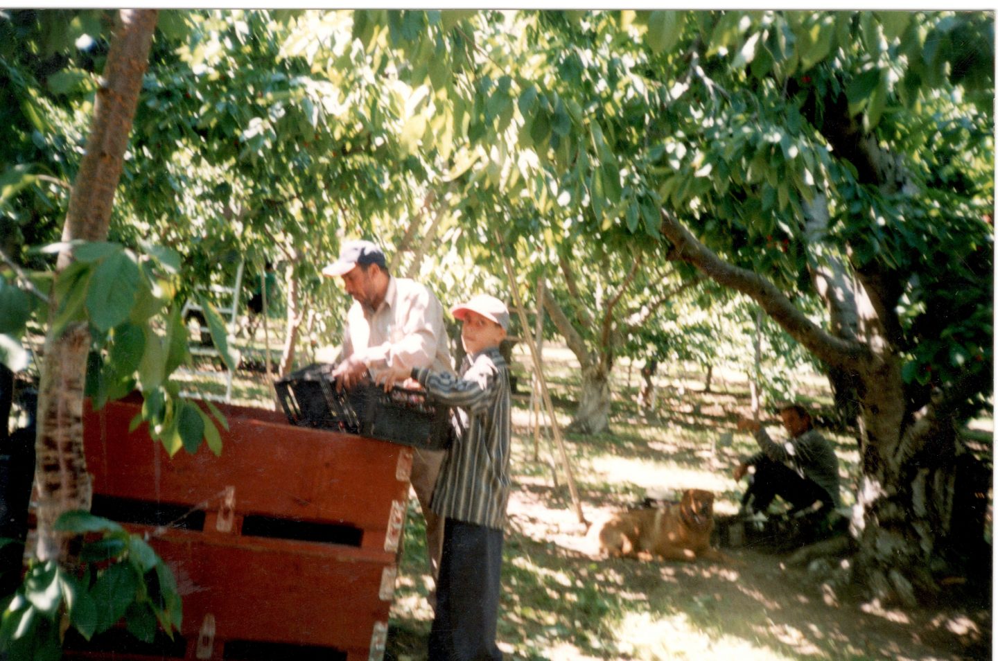 Older image of people working in India